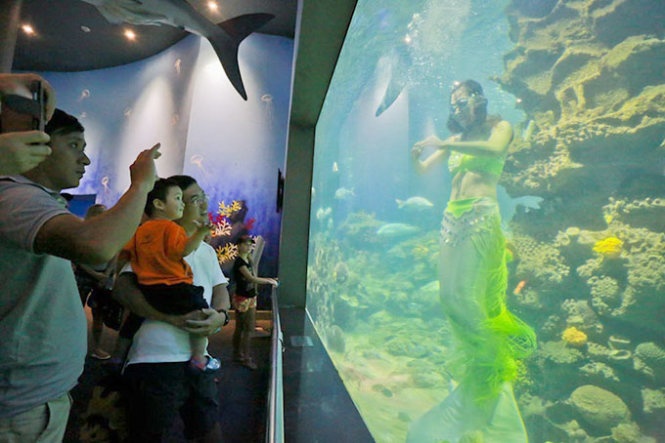 Nhập mô tả cho ản1h