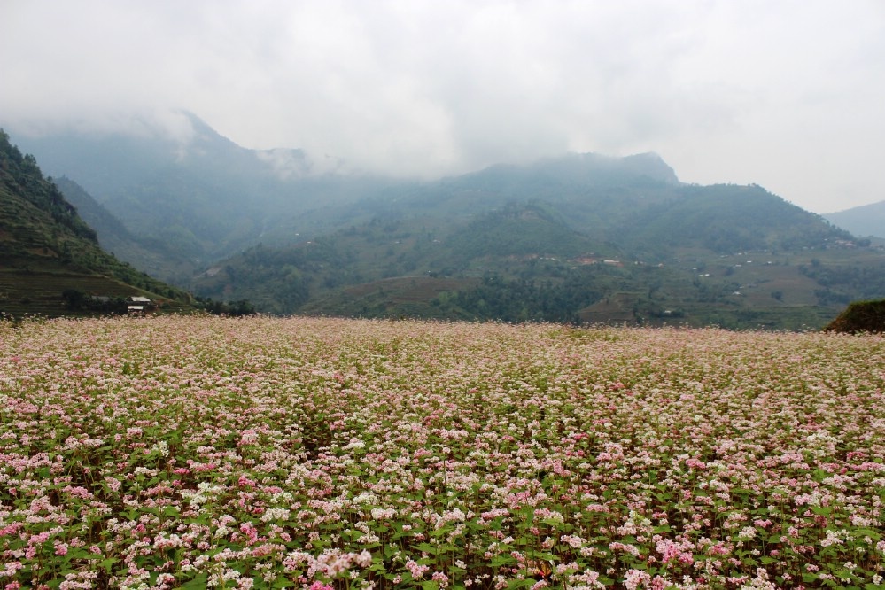 Nhập mô tả cho 1