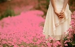 Ba bau sinh vien: Noi dau gap ke So Khanh hinh anh