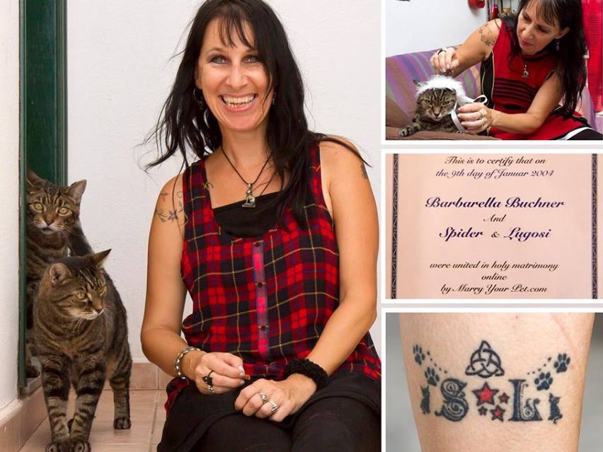 Nguoi phu nu ket hon voi hai chu meo hinh anh