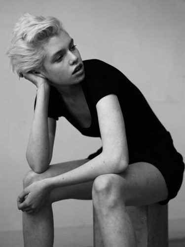 Nhập mô tả cho 1ảnh