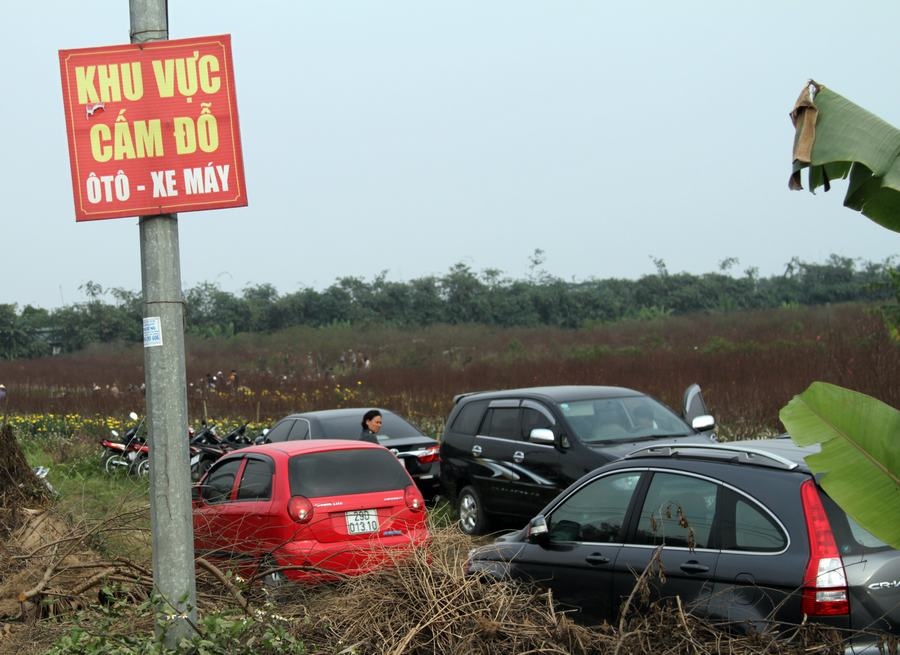 Nhập 1mô tả cho ảnh