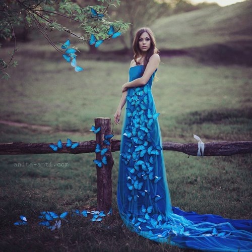 Nhập mô tả1 cho ảnh