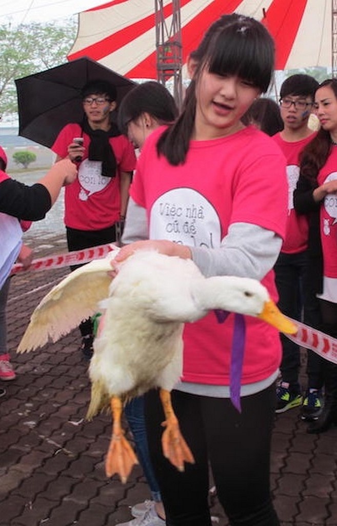 Nhập mô tả cho 1ảnh