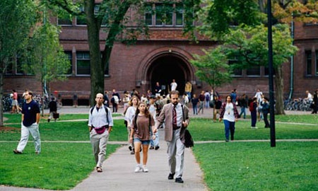 Harvard cam giang vien quan he tinh duc voi sinh vien hinh anh