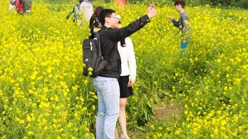 Phân nửa các luống cải bị giẫm đạp xiêu vẹo.