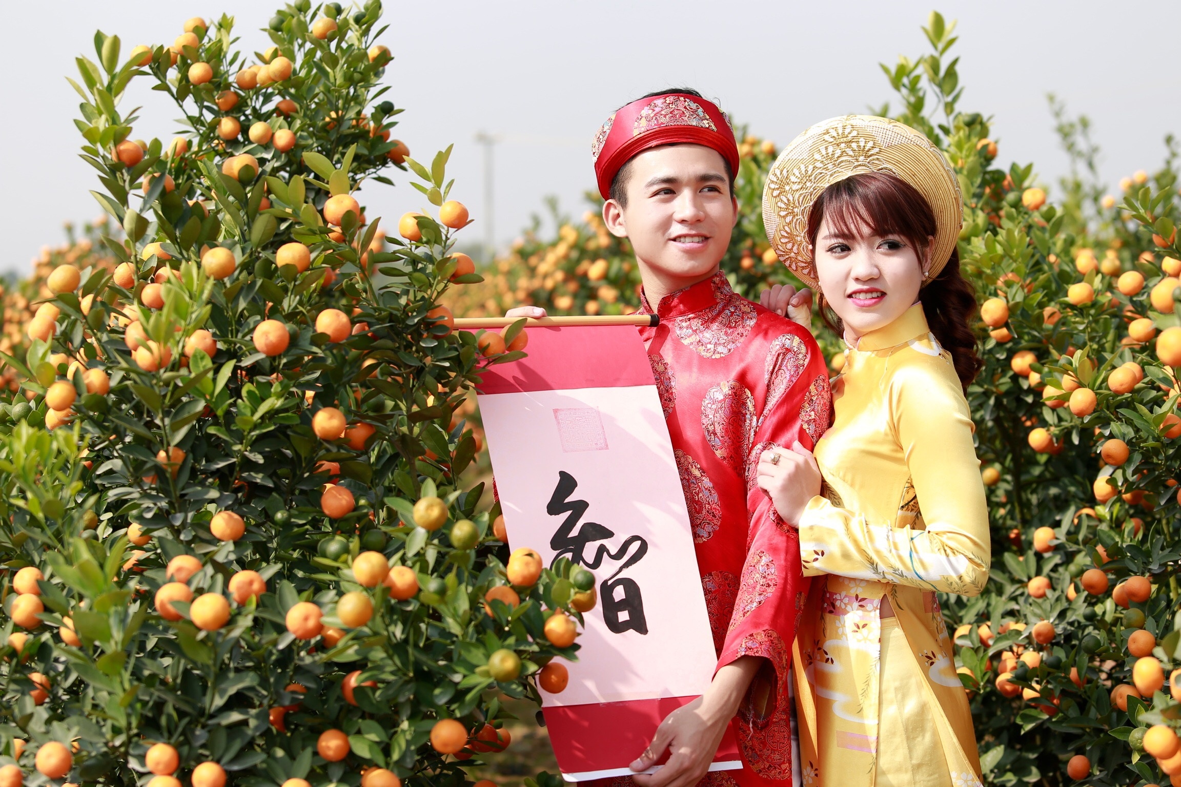 Nhập mô tả cho 1ảnh