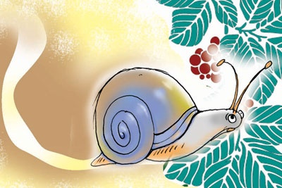 Bai toan tieu hoc vui: Tinh thoi gian bo cua oc sen hinh anh