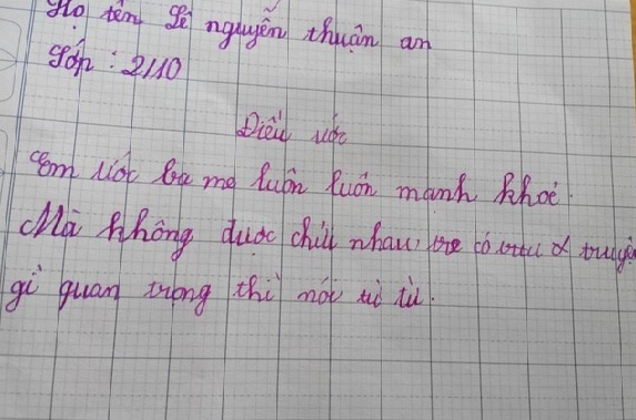 Dieu uoc cua hoc sinh lop 2: Ba me dung chui nhau hinh anh
