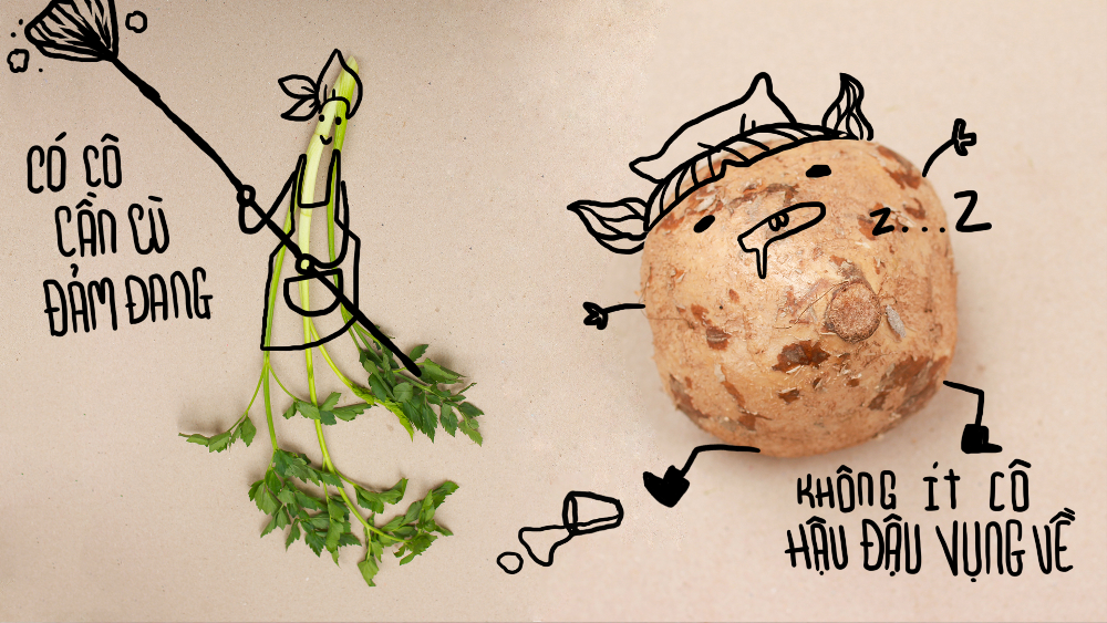 Nhập mô tả ch1o ảnh