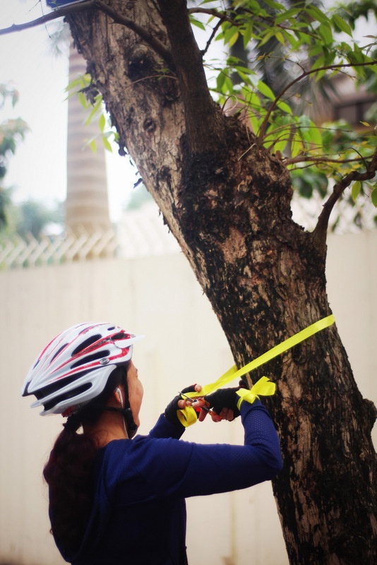 Nhập mô tả cho ản1h