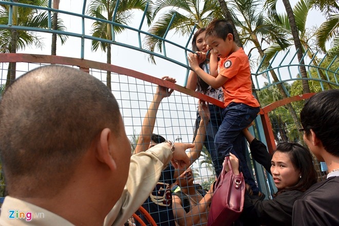 Con tre va tam guong meo mo hinh anh