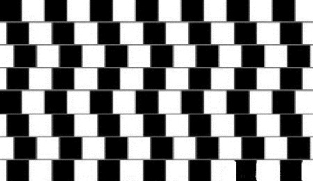 Nhập mô tả cho 1ảnh