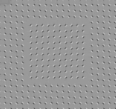 Nhập mô1 tả cho ảnh