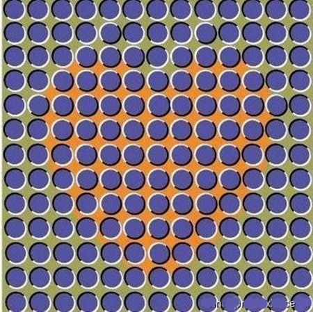 Nhập 1mô tả cho ảnh