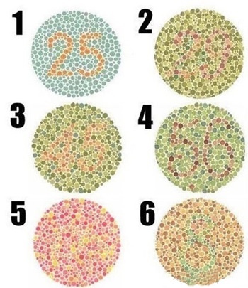 Nhập 1mô tả cho ảnh