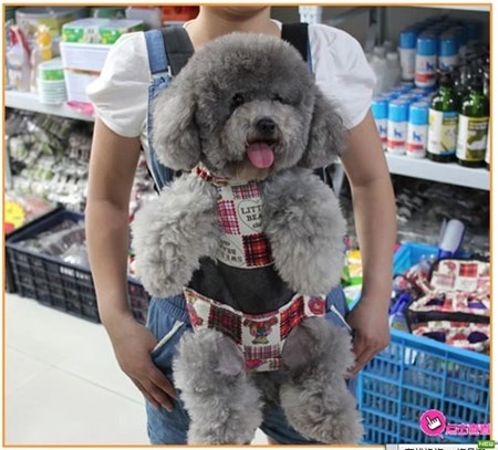 Nhậpe mô tả cho ảnh