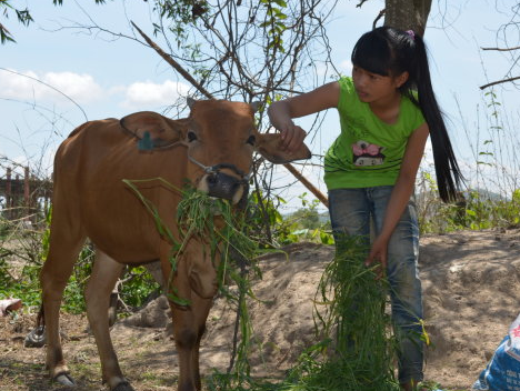 Tru cot gia dinh o tuoi 13 hinh anh