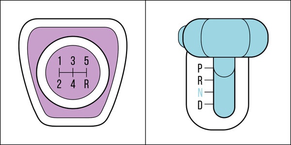 Nhập mô tả cho dảnh
