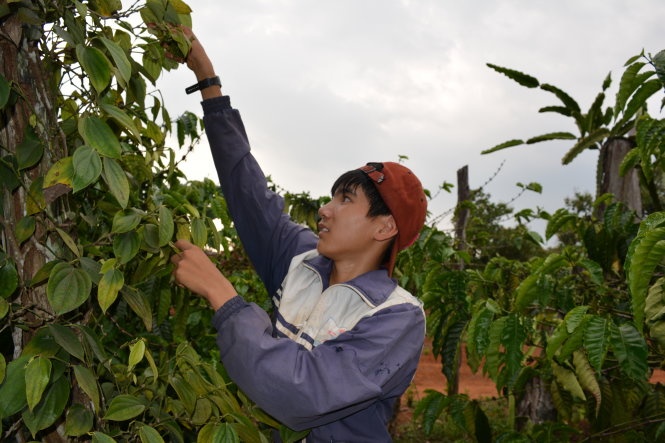 Cau hoc tro ngheo uoc mo thanh nha van hinh anh