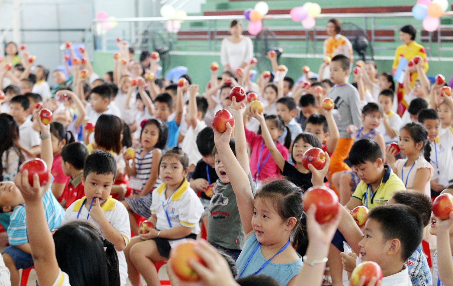 HS tieu hoc duoc tang tao trong ngay tuu truong hinh anh