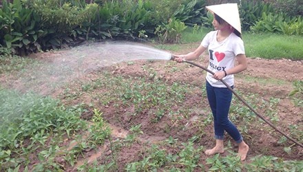 Nu sinh chay cho kiem tien an hoc hinh anh