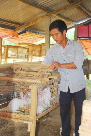 Lê Ngọc Thắng quyết tâm với mô hình kinh tế trang trại để làm giàu trên vùng gò đồi Hòa Cát.
