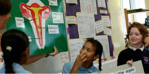 Tren the gioi giao duc gioi tinh cho tre em nhu the nao? hinh anh