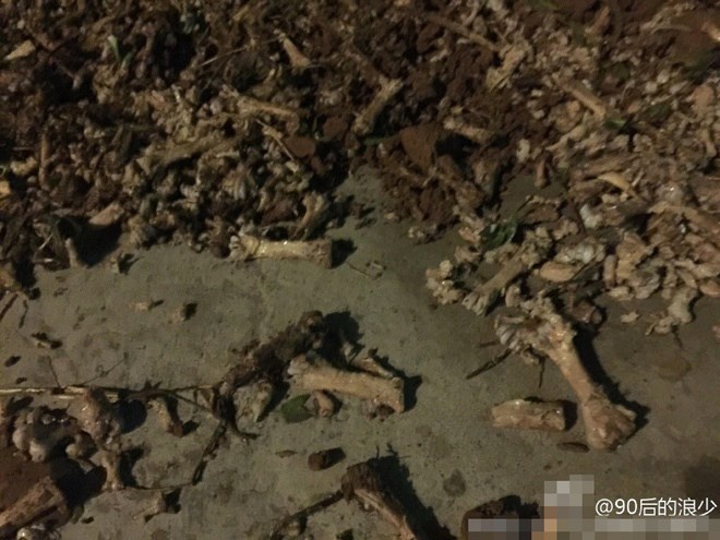 Truong hoc dung xuong ga thoi nau canh cho hoc sinh hinh anh