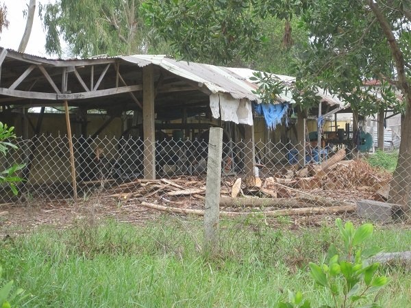 Một góc sân trường Trung cấp Xây dựng miền Trung biến thành xưởng cưa từ nhân.