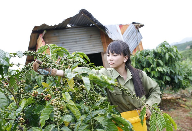 Hoa Hai Duong no giua doi nuong hinh anh