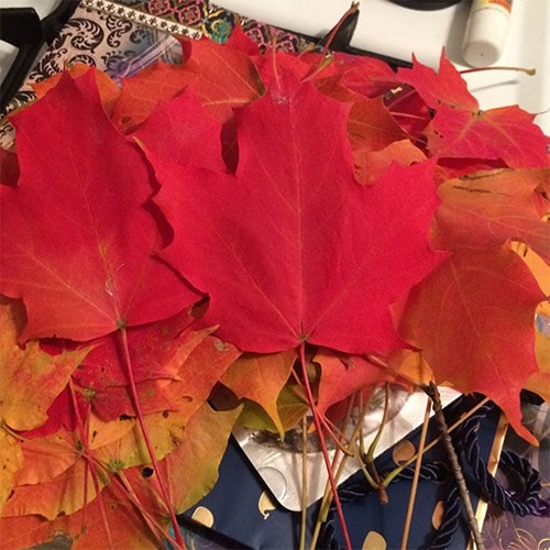 Nhập mô tả cho f