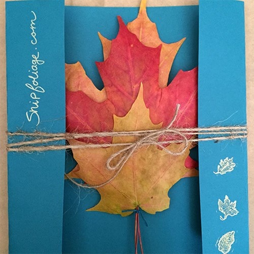 Nhập mô tả cho f