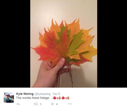 Nhập mô tả cho f