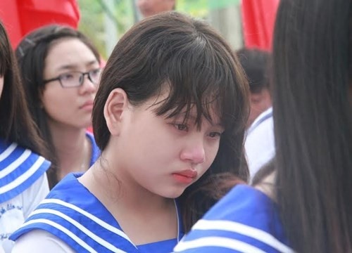 Nhung bai van xuc dong ve tinh mau tu hinh anh