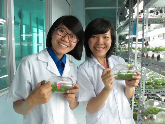 Nong dan ao trang hinh anh