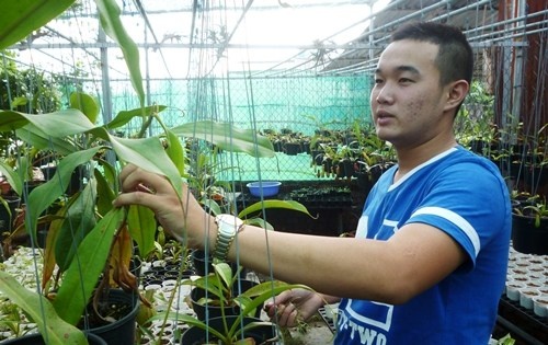 Lê Minh Tuấn bên vườn ươm cây.