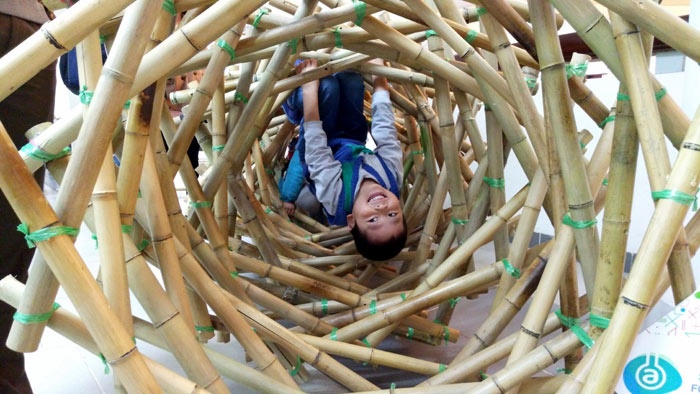 Day chuyen Toan co can 'luyen ga noi'? hinh anh