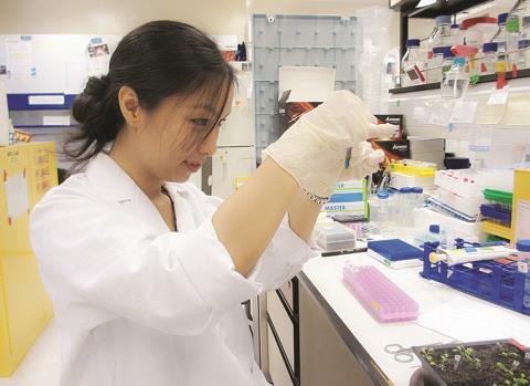 Chuyen hoi huong cua tri thuc Viet kieu hinh anh