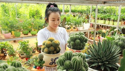 9X thu tien ty tu cay canh mini hinh anh