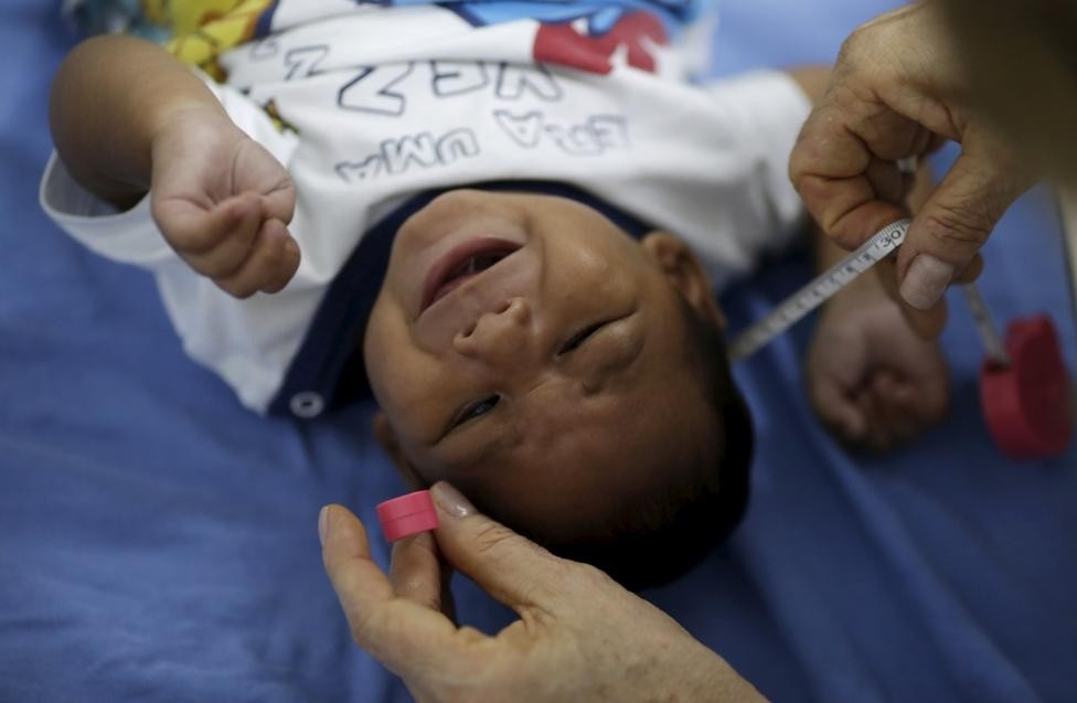 Virus Zika vao de thi mon Tieng Anh, Sinh hoc hinh anh