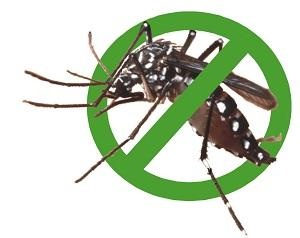 Sua tam duoi muoi cua hai hoc tro Tay Nguyen hinh anh