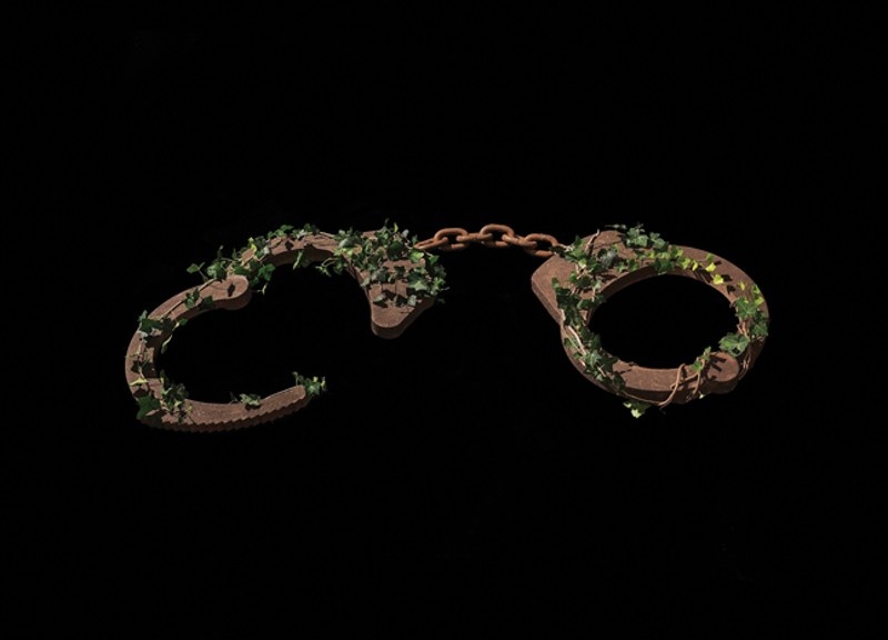 truong Ivy League anh 1