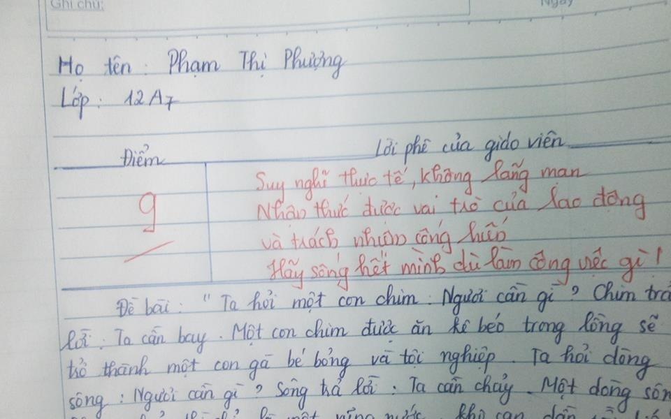 Bai van y nghia ve lao dong cua nu sinh khong thi dai hoc hinh anh