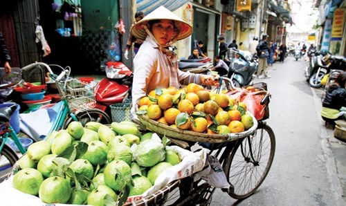 giới trẻ muốn về quê hương ảnh 1 gioi tre muon ve que huong anh 1