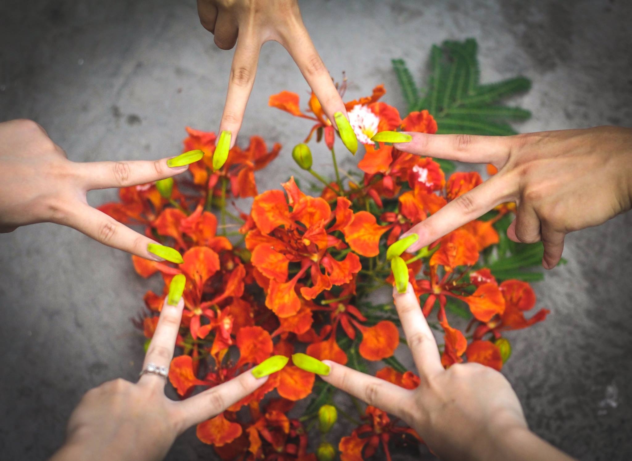 Truong Nguyen Khuyen Nam Dinh anh 9