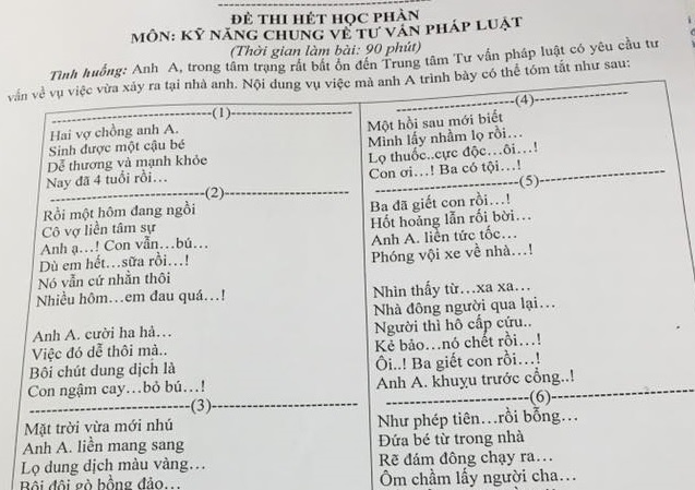 DH Luat ra de thi bang tho ve tinh huong ‘cai sua cho con’ hinh anh