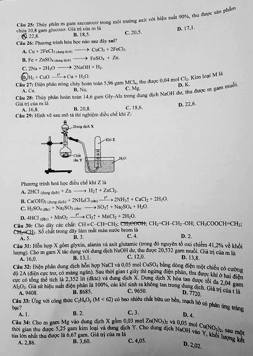 Dap an Hoa 2016 anh 4