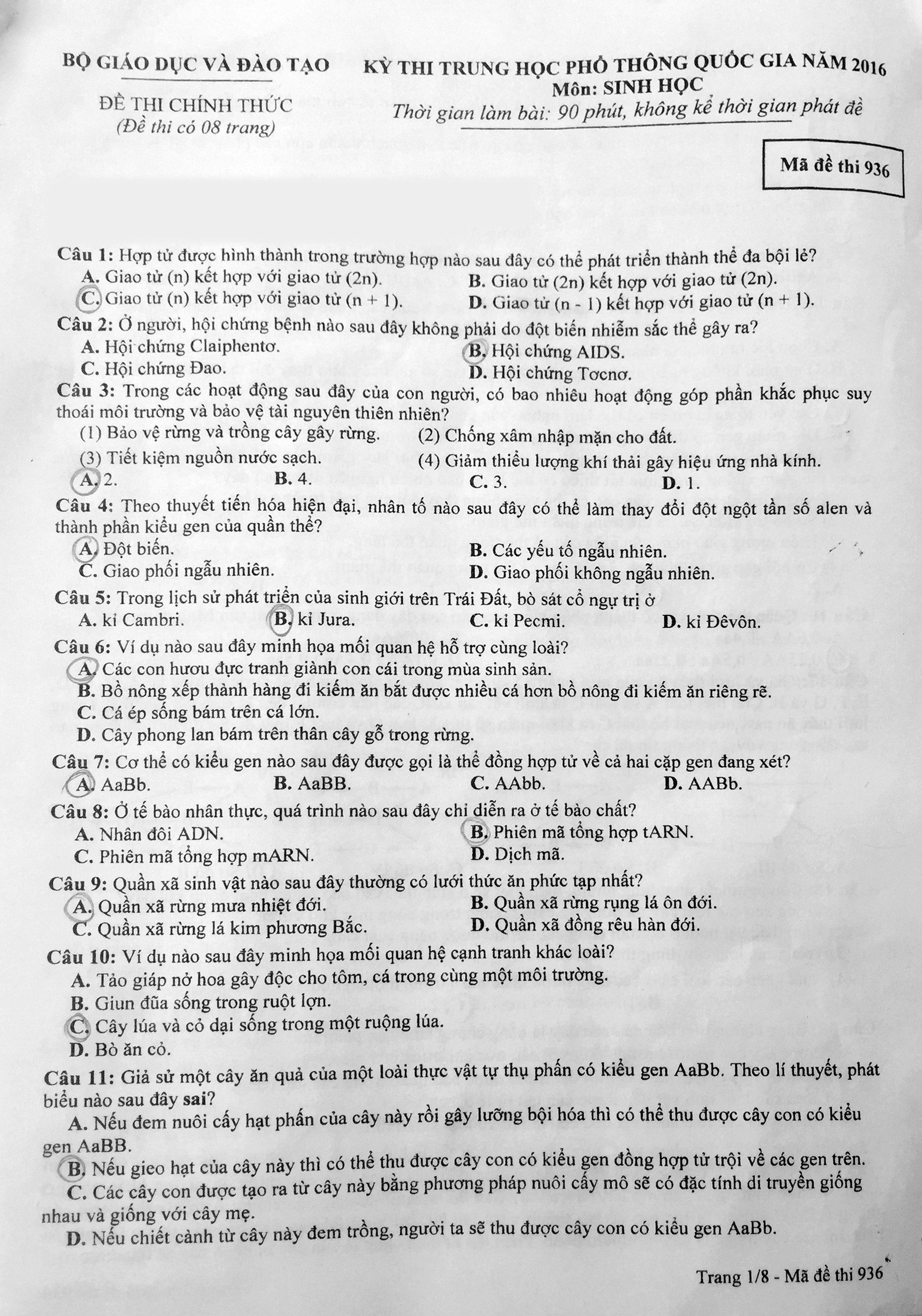 Dap an mon Sinh 2016 anh 2