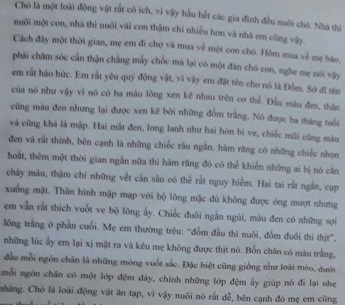 học thuộc lòng văn mẫu ảnh 1 hoc thuoc long van mau anh 1
